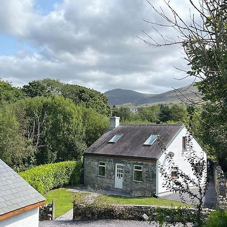 Bryn Rhedyn Cottage Cwm-y-glo エクステリア 写真