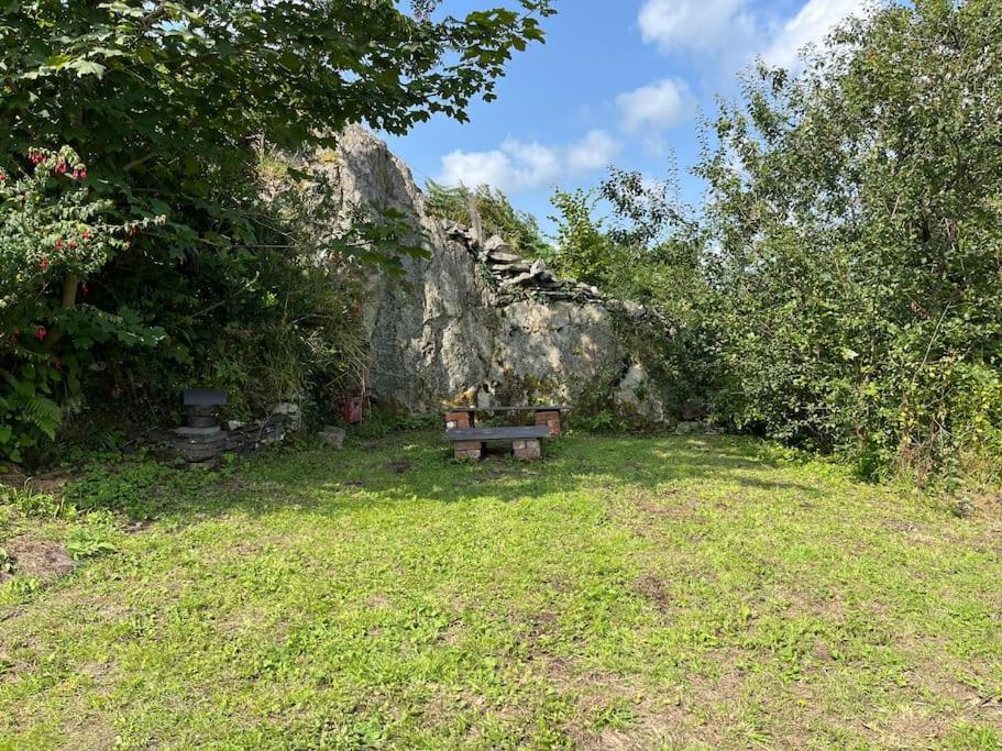 Bryn Rhedyn Cottage Cwm-y-glo エクステリア 写真